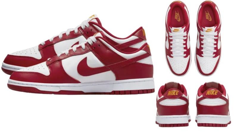 Nike-Dunk-Low-Shoes-2